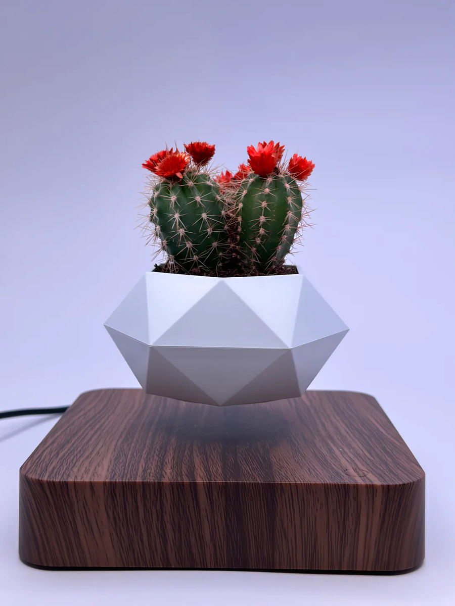 Floating Flower Pot TrendestLB