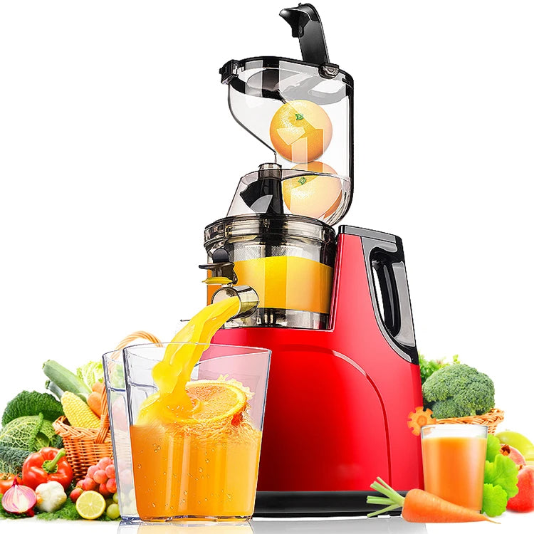 Slow Juicer