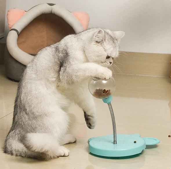 Snack chaser Toy
