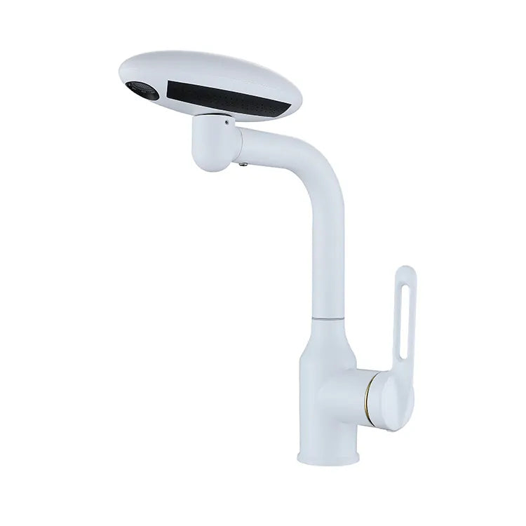 Modern 360° Swivel Stainless Steel Faucet